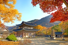베스트갤러리 - 무량사추경