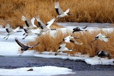 베스트갤러리 - 한탄강 에서