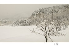 베스트갤러리 - 산모퉁이돌아