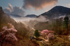 베스트갤러리 - 산골의아침