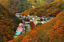 베스트갤러리 - 두메산골