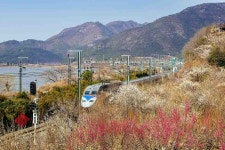 베스트갤러리 - 봄향기싣고