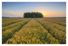 베스트갤러리 - 익숙한 들녁