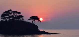 베스트갤러리 - 솔섬