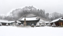 베스트갤러리 - 월정사