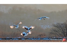 베스트갤러리 - 노을빛 풍경