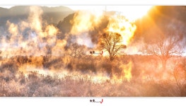 베스트갤러리 - 소양3교