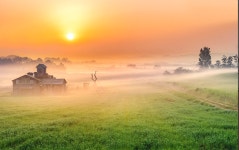 베스트갤러리 - 목장의 새벽