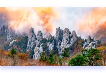 베스트갤러리 - 설악의 멋