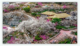 베스트갤러리 - 매화동산