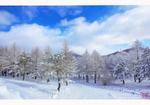 베스트갤러리 - 만항재