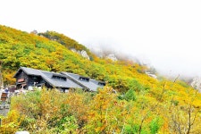 베스트갤러리 - 한계령...