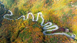 베스트갤러리 - 꼬부랑길