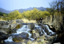 베스트갤러리 - 산동마을