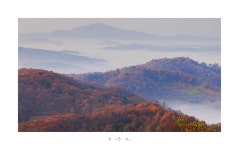 베스트갤러리 - 만산 홍엽.