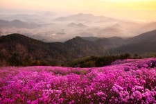 베스트갤러리 - 천주산