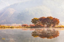 베스트갤러리 - 주천에 찾아 온 가을