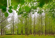 베스트갤러리 - 메타길