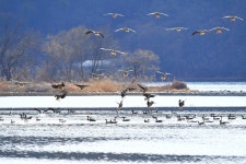 베스트갤러리 - 경안천에서