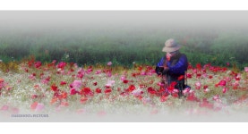 베스트갤러리 - 꿈을 담는 진사님 ------