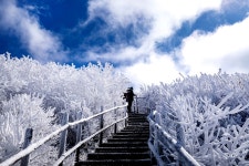 베스트갤러리 - 설국 천상 가는 길