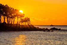 베스트갤러리 - 동백섬