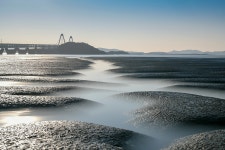 베스트갤러리 - 꿈꾸는 갯골