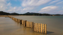 베스트갤러리 - 장노출