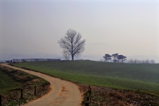 베스트갤러리 - 안성목장