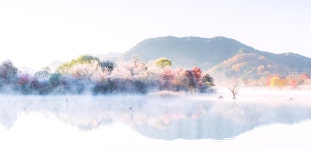 베스트갤러리 - 생태공원...