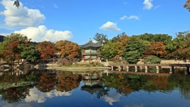 베스트갤러리 - 향원정(香遠亭)