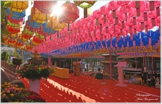 베스트갤러리 - 봉축