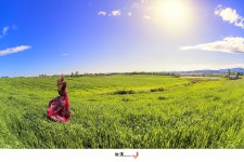 베스트갤러리 - 초원 _안성목장에서_