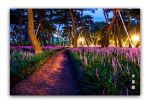 베스트갤러리 - 황성공원