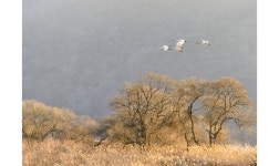 베스트갤러리 - 경안천에서