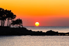 베스트갤러리 - 동백섬일출