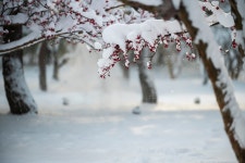 베스트갤러리 - 광한루에서..