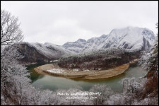 베스트갤러리 - 춘설 나리소