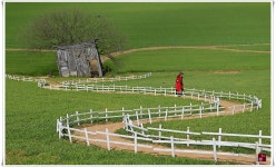 베스트갤러리 - 고창 학원농장