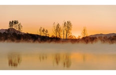 베스트갤러리 - 강가의 아침