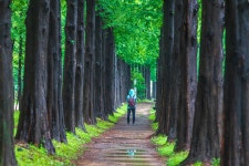 베스트갤러리 - 메타의 길에서