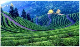 베스트갤러리 - 다원