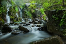 베스트갤러리 - 월성계곡