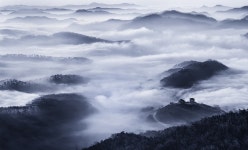 베스트갤러리 - 어디가 무릉도원 인고?