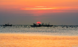 베스트갤러리 - 무슬목