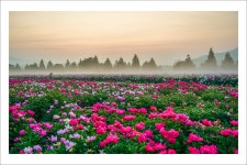 베스트갤러리 - 생태공원