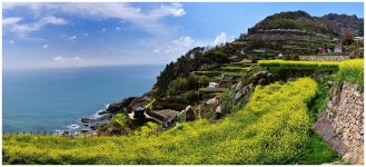 베스트갤러리 - 다랭이마을