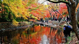 베스트갤러리 - 도솔천