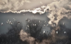 베스트갤러리 - 경안천