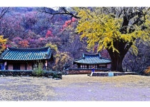 베스트갤러리 - 운곡서원 오늘입니다.